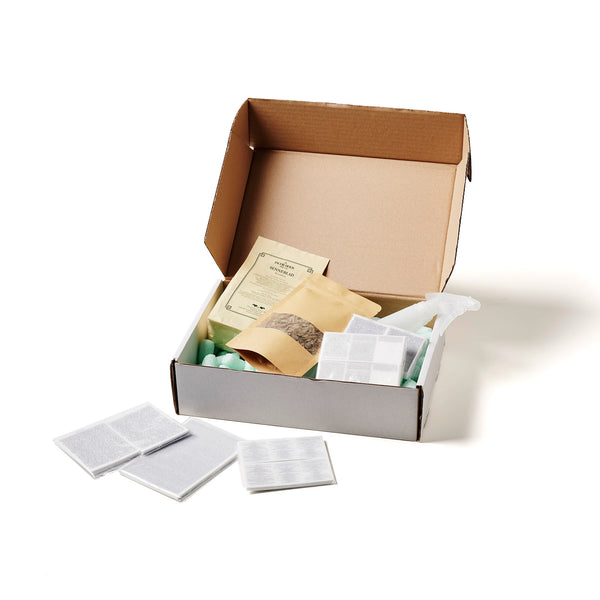 Quranfi Package for Ruqyah